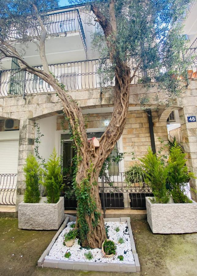 Apartment Oliva1 Petrovac Ngoại thất bức ảnh